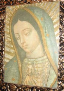 lady glpe