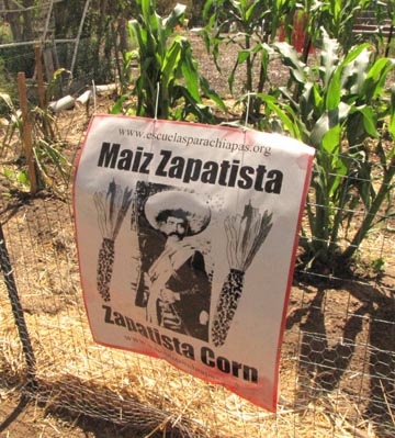 milpa 3