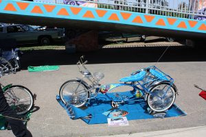 Pic 12 Bikes
