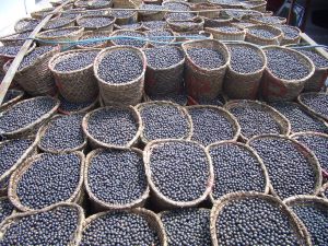 acaiberries1