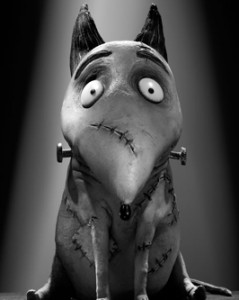 Frankenweenie_Exclusive_Character_Debuts_Meet_Victor_And_Sparky_1340121926