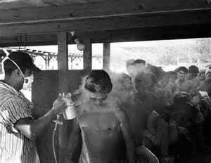 The United States Department of Immigration used Zyklon B to fumigate and delouse immigrant farm laborers back in the 1920's and 1930's.