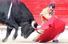 El Zotoluco, el triunfador of the afternoon.