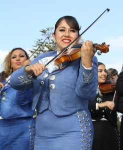 violinista
