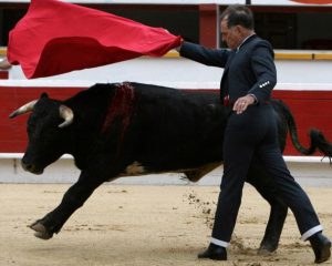 Rombold gives a Chest Pass—Pase de Pecho, to his novillo during his retirement performance at Plaza Monunmental. Tijuana, 2009.
