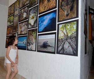 EXPO FOTOS NATURALEZA 2