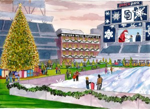 Holiday Wonderland Field