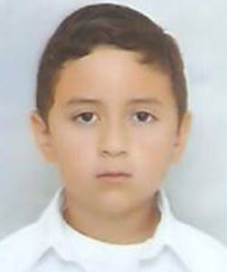 Pedro Alcocer Garcua