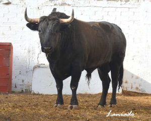 Los Encinos
