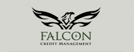 foreclosure_review_infographic
