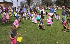 SD Eggxtravaganza 5 14
