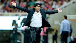 cardozo