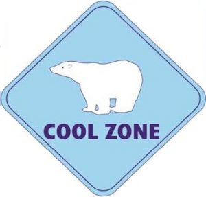 2015-Cool-Zone-Flyer-page-001